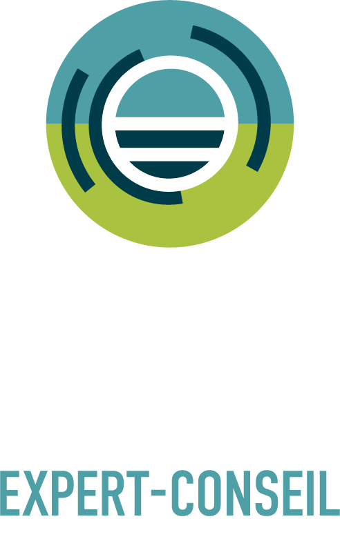 FPD Expert-conseil